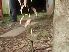 Amazing Japanese model in Horny Outdoor, Blowjob JAV movie