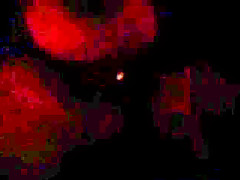 Anal Hole Pounding Of Black Gay