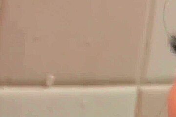 And More - Anal Japanese Lesbians At Office (continued)