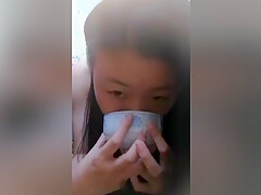 Asian Pet