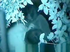 Asian couple outdoor sex