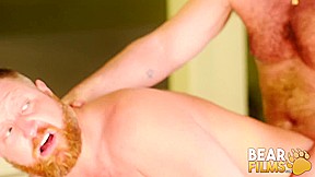 BEARFILMS Ronan Delaney Sucks Dick Before Bareback Pounding