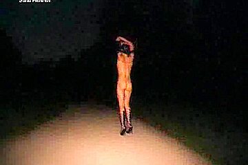 Babe strips & sucks in park at night
