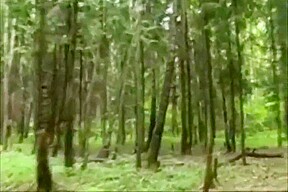 Blowjob In The Wood