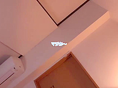 CEV247-GMFQKBPNPO449059509