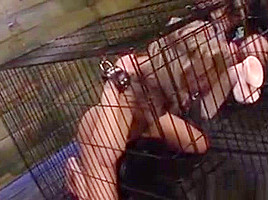 Caged Lesbian Slave Toyed
