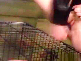 Caged Lesbian Slave Toyed