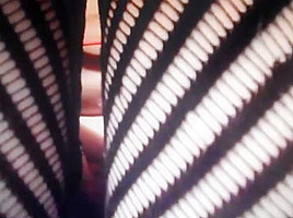 Crazy Japanese whore in Best Exhibitionism, Nipples JAV movie