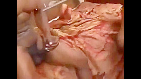 Ebony Fuck (DM)