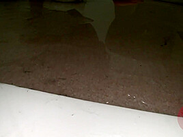 Emabarassing beauty pissing