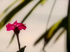 Fabulous xxx movie Female Orgasm greatest just for you