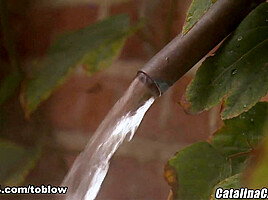 Faith Leon - LicensedToBlow