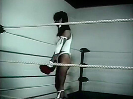 Foxy Boxing
