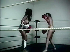 Foxy Boxing