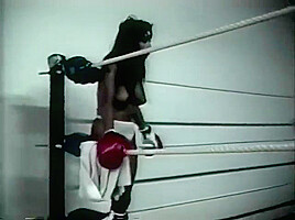 Foxy Boxing
