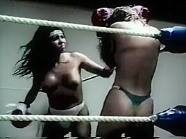 Foxy Boxing