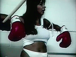 Foxy Boxing