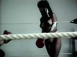 Foxy Boxing