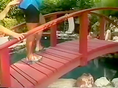 Francois Papillon - Hawaii Vice 2 (1989)