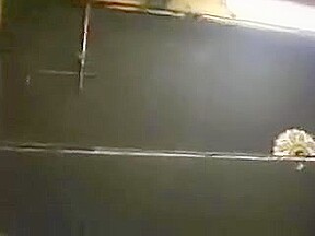 Furry Woman Gets Buttfucked On Camera