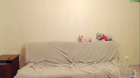 Guy Fuck Two Girls