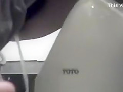 Hidden toliet