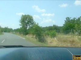 Hitchhiking couple picked up and fucking in the backseat