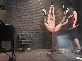 Jade Indica and Sinn Sage in Whippedass Video