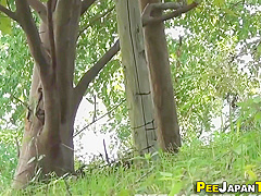 Japanese Urinates In Park