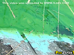 Japanese Urinates In Park