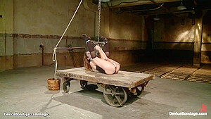 Lesbian In Extreme Bondage Ass Fucked
