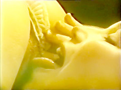 Lesbian Peepshow Loops 536 70s and 80s - Scene 3