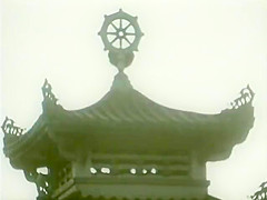Marco Polo    La Storia Mai Raccontata