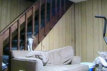 Naked all over abode