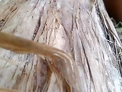 Nature Sex Sex With Banana Tree Part 5