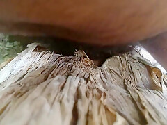 Nature Sex Sex With Banana Tree Part 5