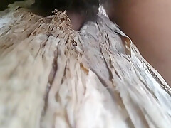 Nature Sex Sex With Banana Tree Part 5