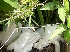 Oriental bizarre teenagers 18+ pissing
