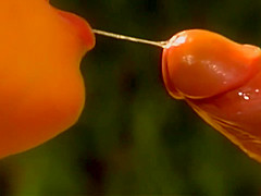 Passionate Kisses Between A Handsome Guy And A Sexy Girl Turned Into Hard Anal Fucking