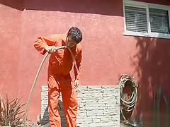 Picking Up Trash