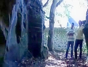Promenons nous dans les bois