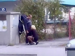 Public Suck