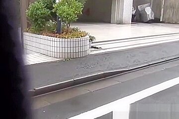 Publicly urinating asians