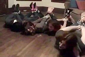 Quintuple Hogtie