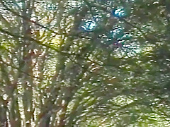 Rodrigo And Bruno Memeguel Outdoor Gay Sex