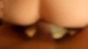 Seducing youthful harlot is giveing a friendly blowjob