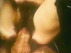 Seductive Old Porn From 1970 Is Here