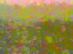 Selskie kanikuly Russian country porn 1 of 4