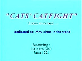 Sexy tigress catfight