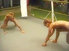 Sexy tigress catfight
